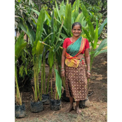 The garden at Avalon Inn is the centerpiece of our property. And since 2010, Geeta has been our gardener, tending to our lawn and caring for all of our plants 🌱🌿🌻🌺💚